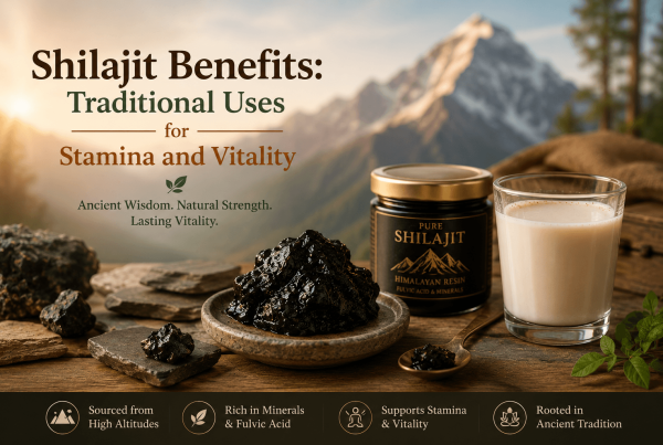 Shilajit resin in a stone dish beside warm milk, with Himalayan mountains in the background, illustrating traditional Ayurvedic uses for stamina and vitality.