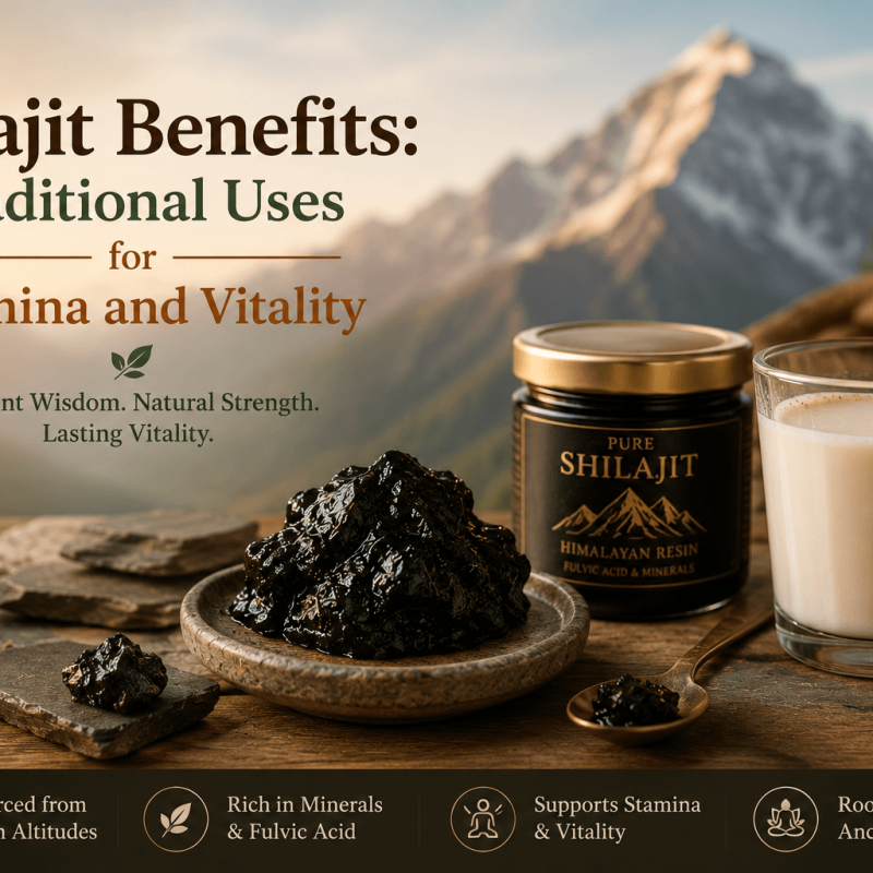 Shilajit resin in a stone dish beside warm milk, with Himalayan mountains in the background, illustrating traditional Ayurvedic uses for stamina and vitality.